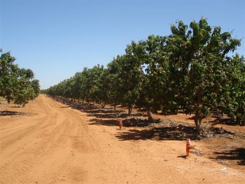 Lot 301/219 McGlades Road, Carnarvon WA 6701