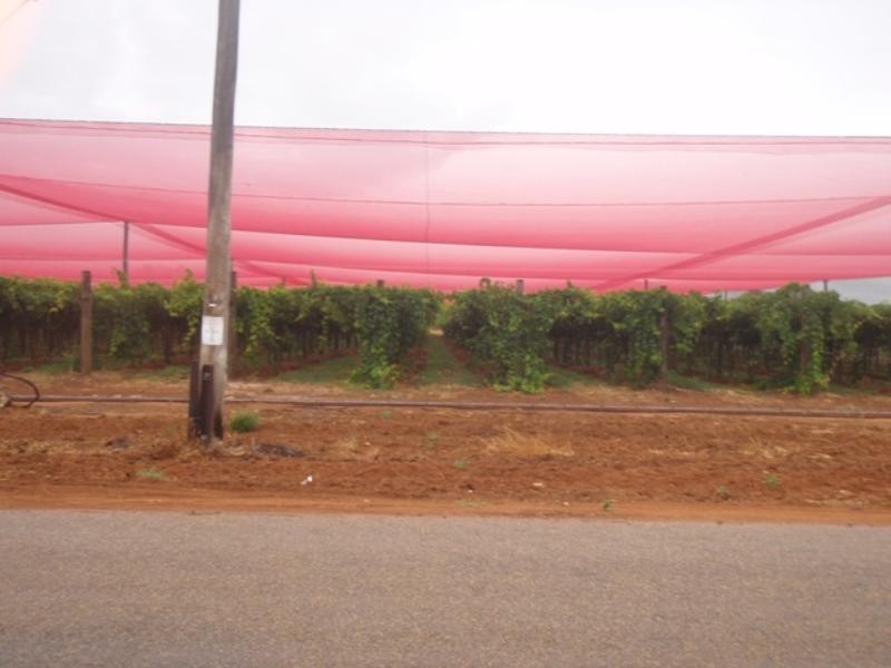 207 McGlades Road, Carnarvon WA 6701