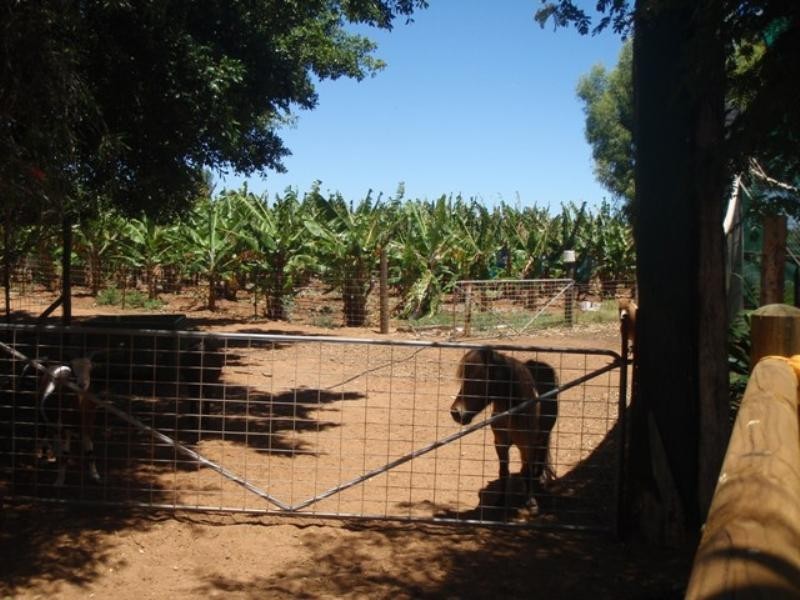 516 Robinson Street, Carnarvon WA 6701