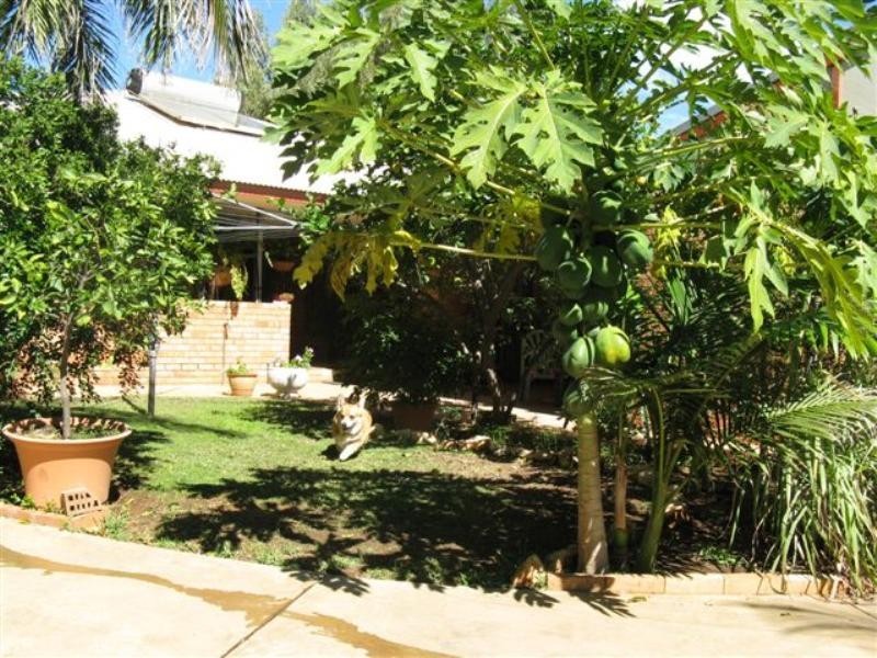 4 Meiklejohn Crescent, Carnarvon WA 6701