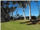 50 Bibbawarra Road, Carnarvon WA 6701