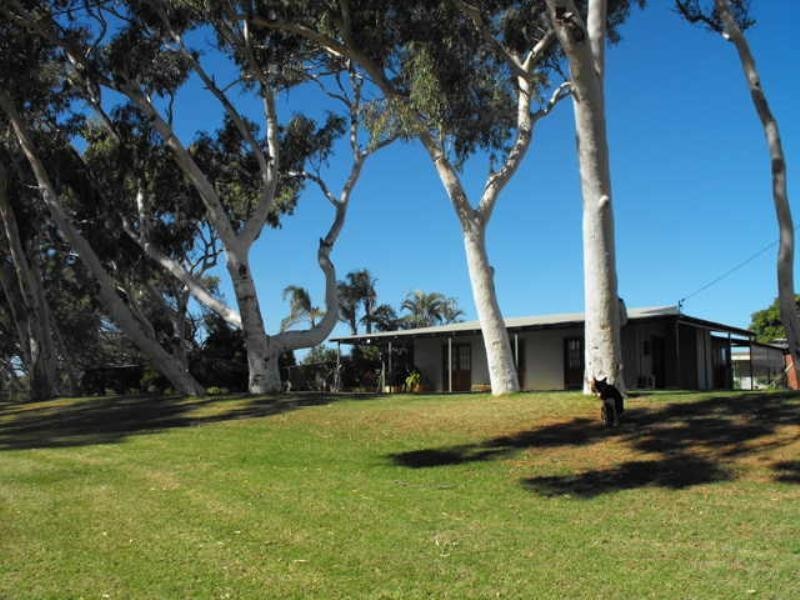 50 Bibbawarra Road, Carnarvon WA 6701