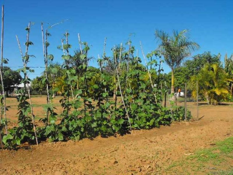 11 William Street, Carnarvon WA 6701