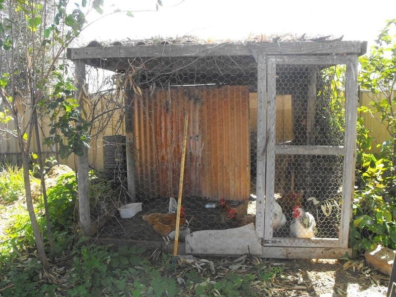 Lot 66 Marmion Street, Carnarvon WA 6701