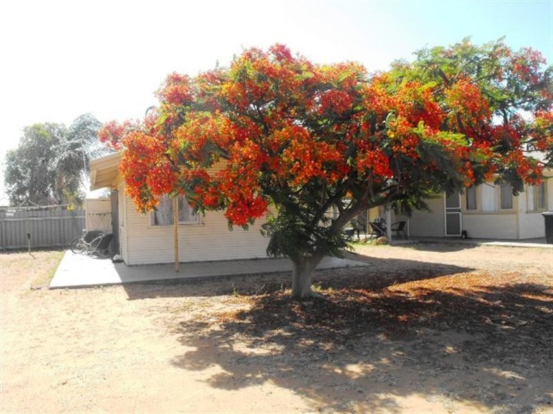 79 Angelo Street, Carnarvon WA 6701