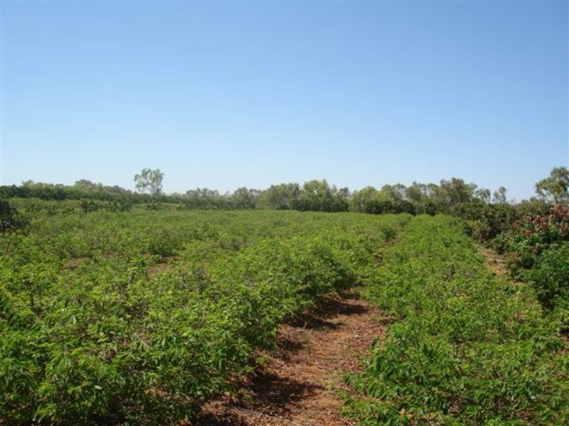 Lot 249/219 McGlades Road, Carnarvon WA 6701