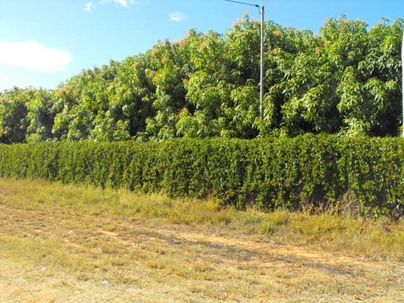 Lot 104/500 Robinson Street, Carnarvon WA 6701