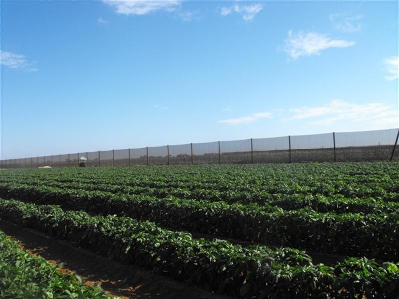 181 McGlades Road, Carnarvon WA 6701