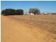Lot 503 Shallcross Street, Carnarvon WA 6701