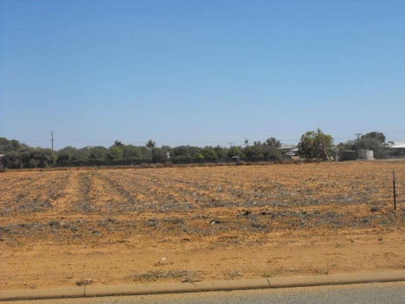 Lot 503 Shallcross Street, Carnarvon WA 6701