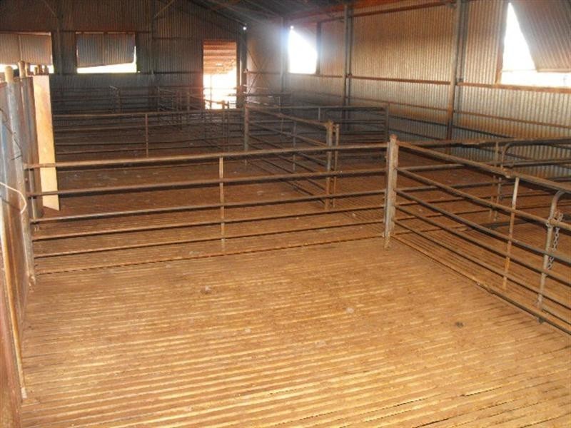 Ella Valla Station, Carnarvon WA 6701