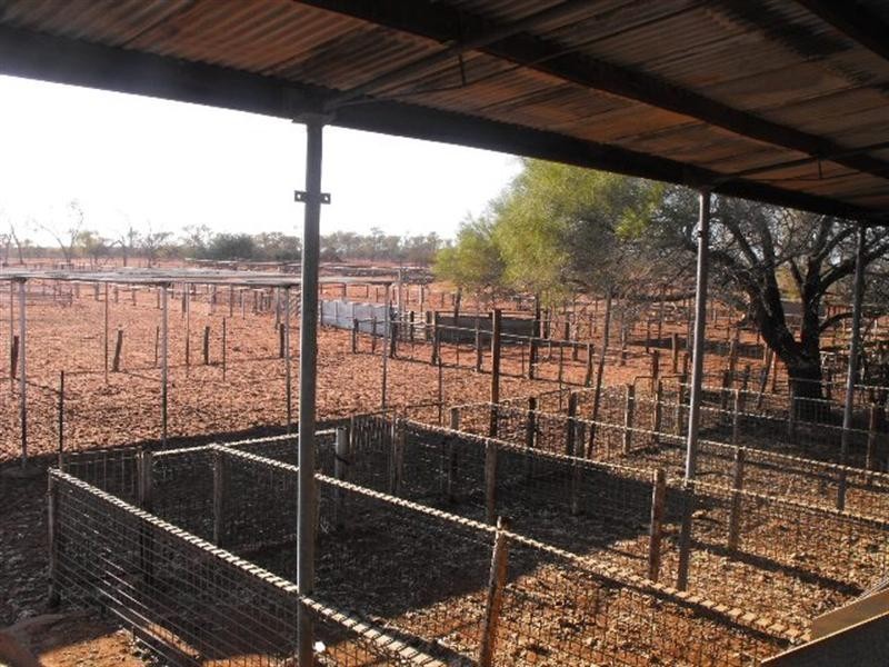 Ella Valla Station, Carnarvon WA 6701