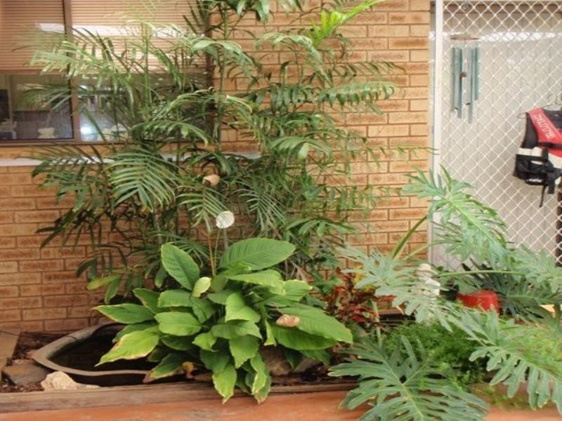 3 Meiklejohn Crescent, Carnarvon WA 6701