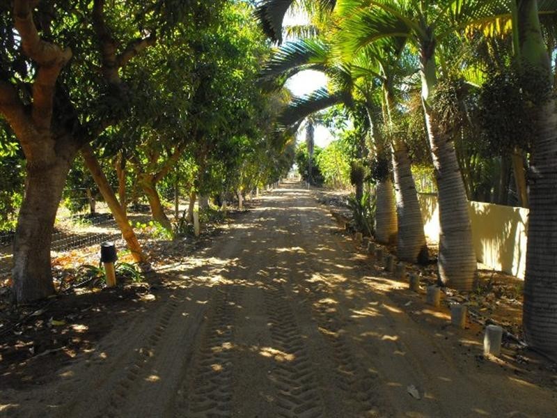 488 Robinson Street, Carnarvon WA 6701