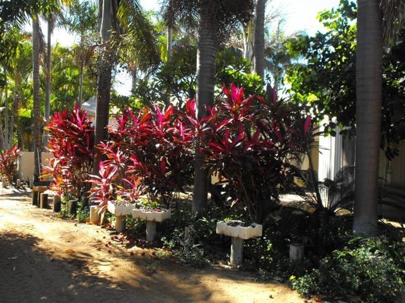 488 Robinson Street, Carnarvon WA 6701