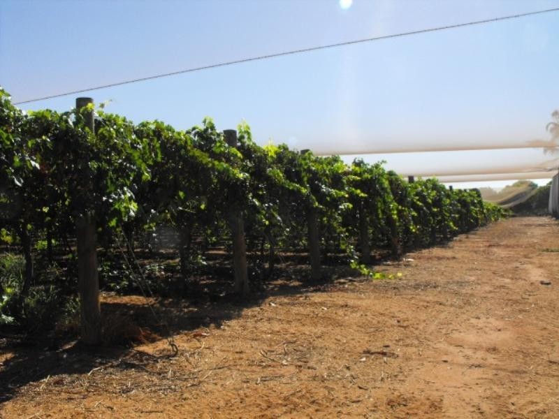 157 McGlades Road, Carnarvon WA 6701