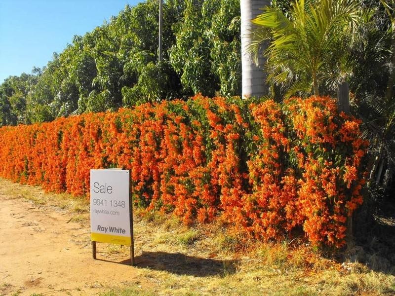 Lot 104/500 Robinson Street, Carnarvon WA 6701