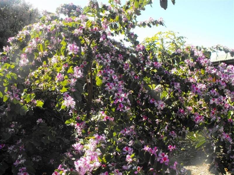 Lot 104/500 Robinson Street, Carnarvon WA 6701