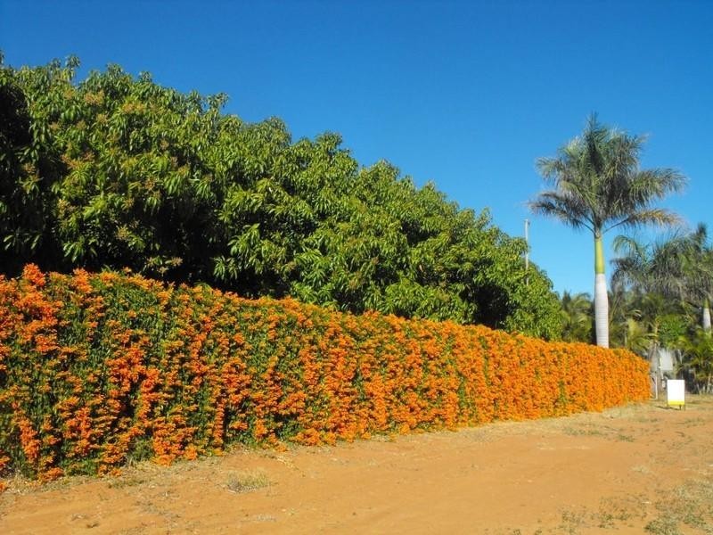 Lot 104/500 Robinson Street, Carnarvon WA 6701