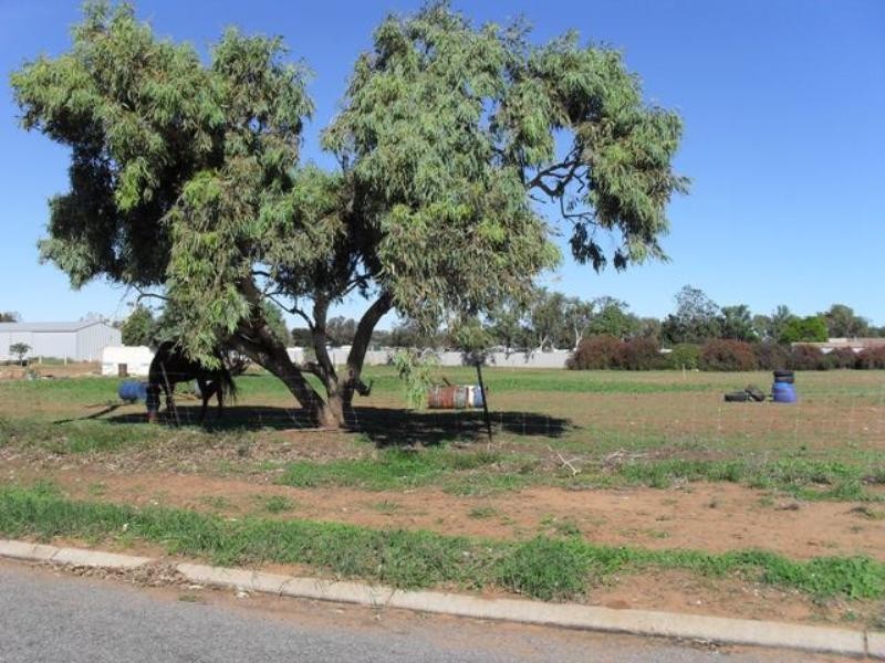 Lot 1/30 Angelo Street, Carnarvon WA 6701