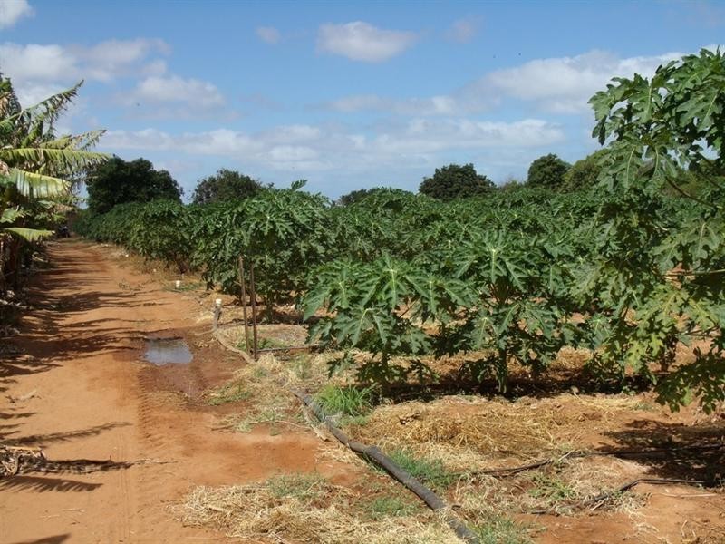 Lot 105/500 Robinson Street, Carnarvon WA 6701