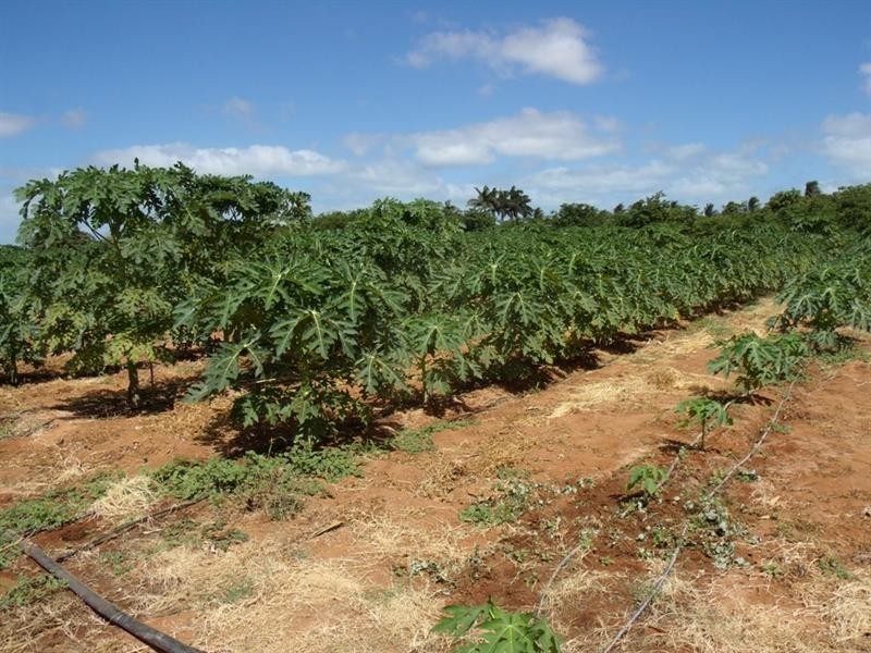 Lot 105/500 Robinson Street, Carnarvon WA 6701