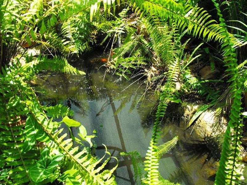 Lot 640 Sandhurst Road, Carnarvon WA 6701