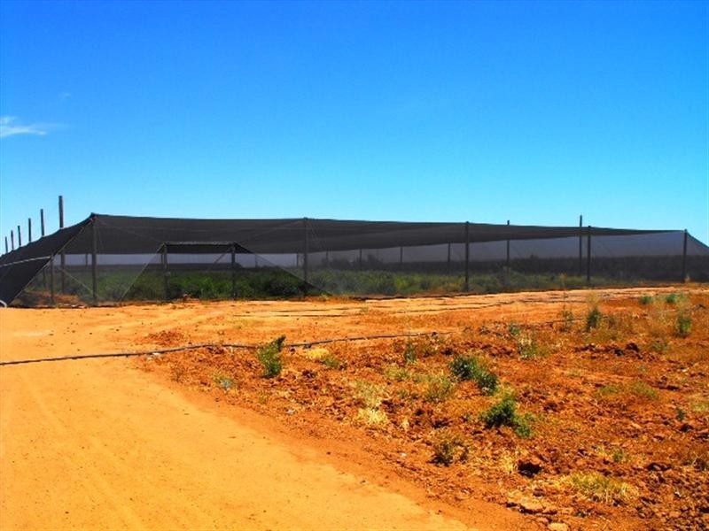 626 South River Road, Carnarvon WA 6701