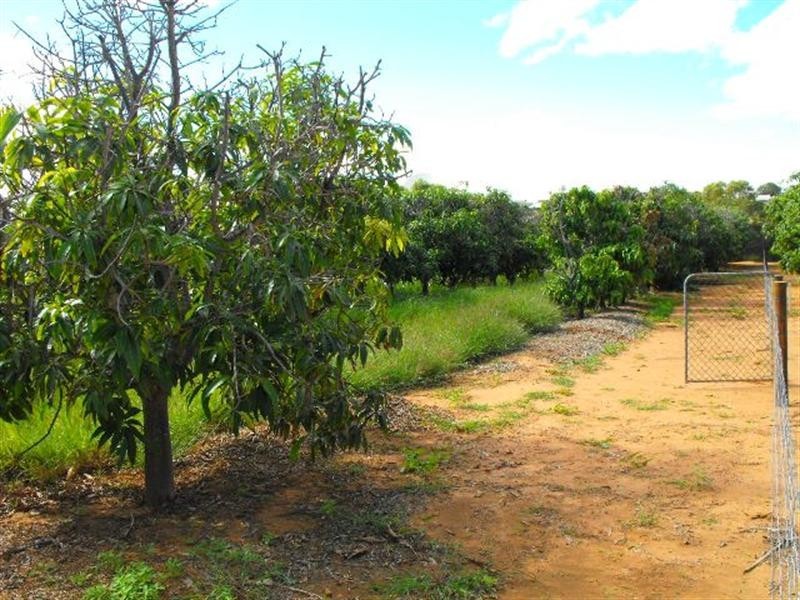 18 Gibson Street, Carnarvon WA 6701