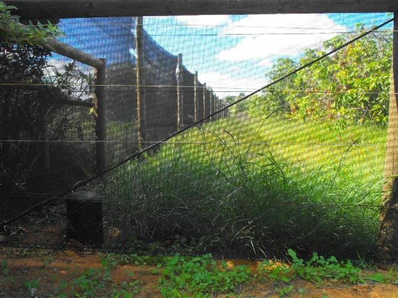 18 Gibson Street, Carnarvon WA 6701