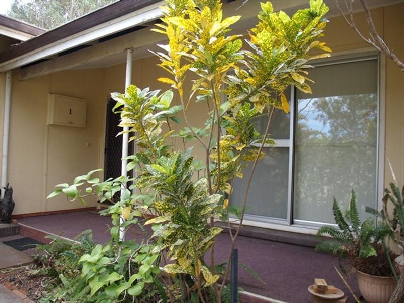 1 Pratt Court, Carnarvon WA 6701