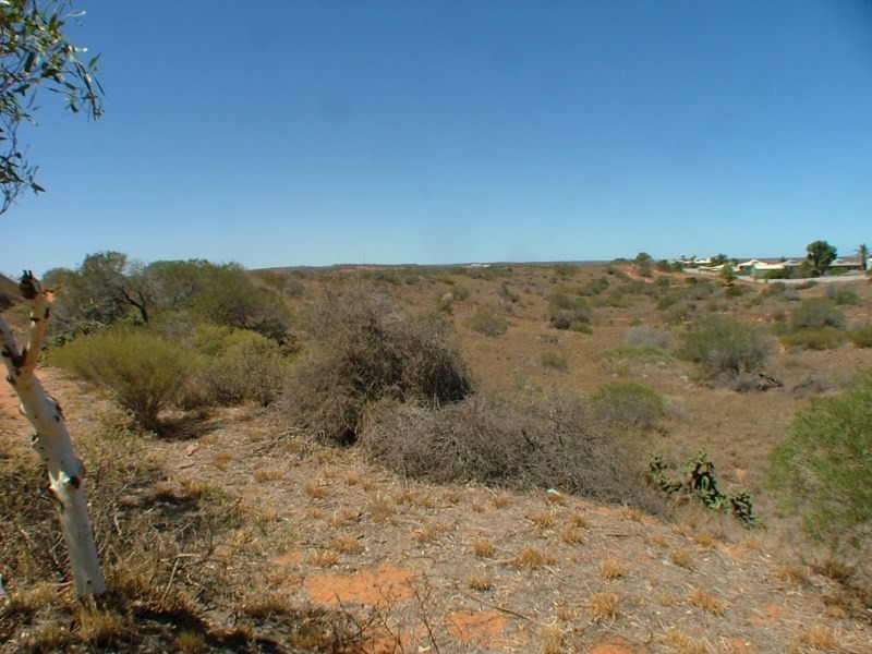 Lot 9500 Mahony Avenue, Carnarvon WA 6701