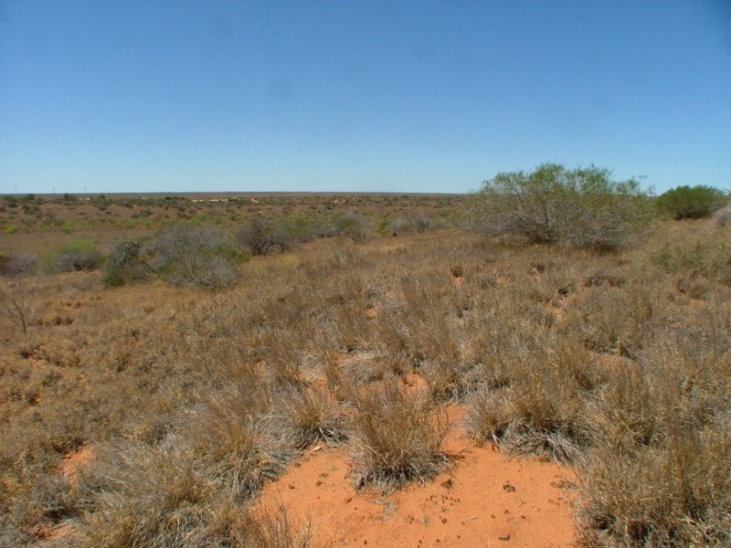 Lot 9500 Mahony Avenue, Carnarvon WA 6701