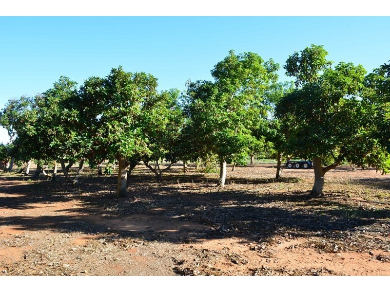 270 Margaret Row, Carnarvon WA 6701