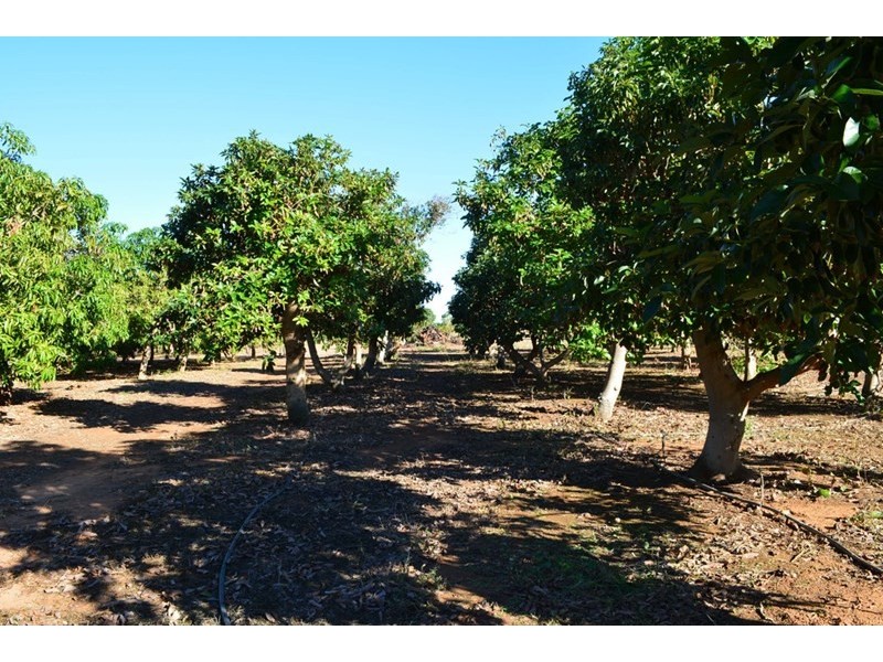 270 Margaret Row, Carnarvon WA 6701