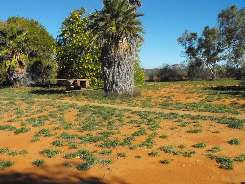 Lot 250 Bibbawarra Road, Carnarvon WA 6701