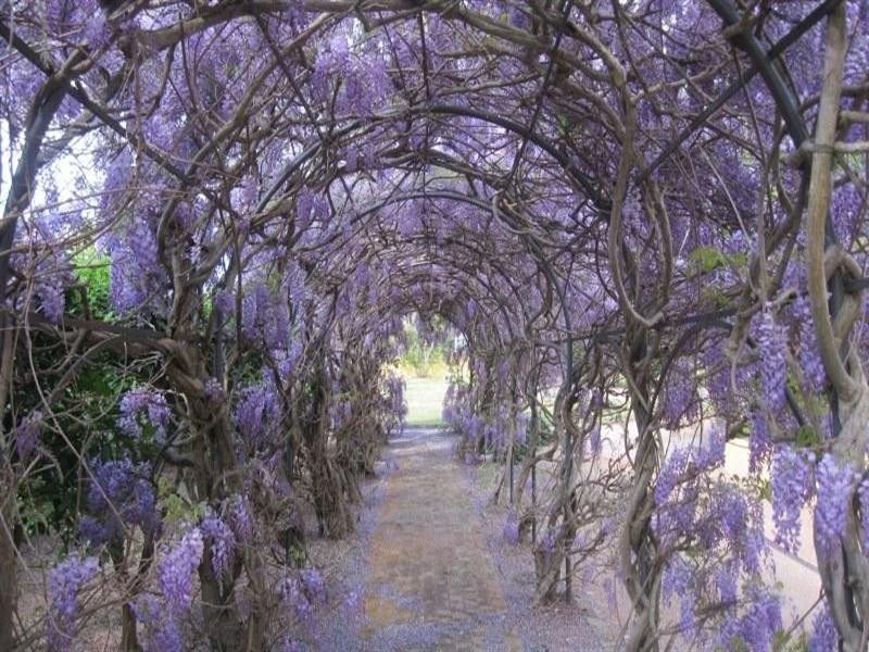 11 McLeod, Middle Dural NSW 2158