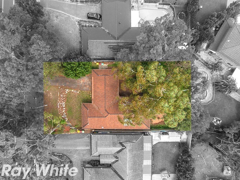 66 Ridgecrop Drive, Castle Hill NSW 2154