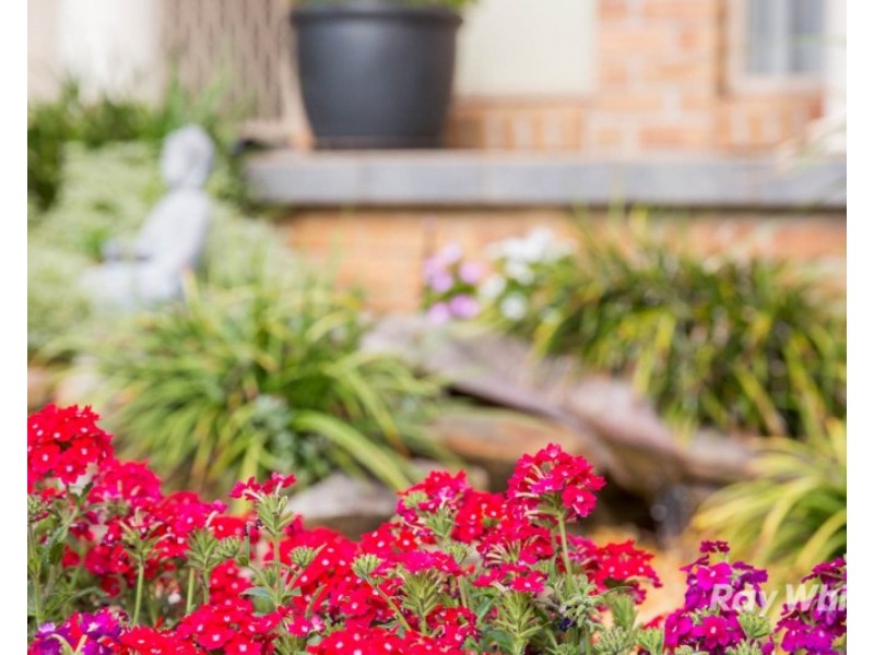 10 Helmsley Grove, Castle Hill NSW 2154