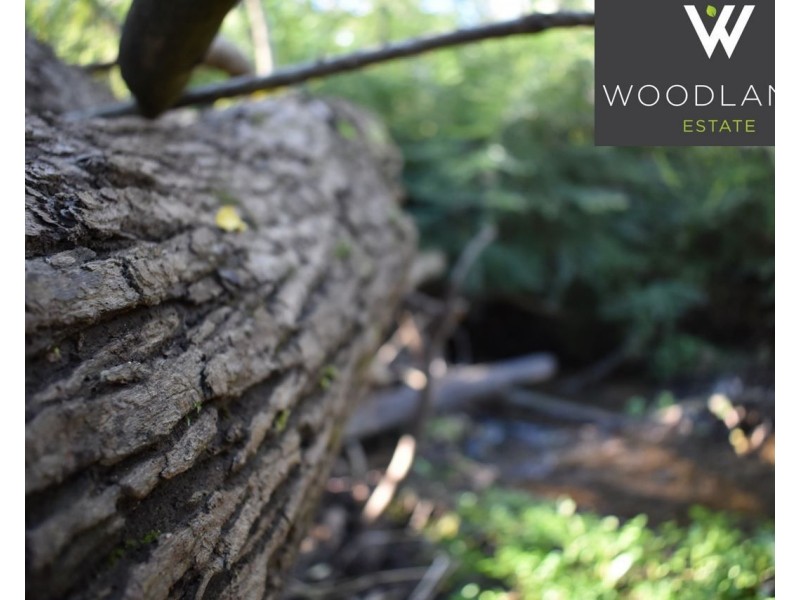 20 Stringer Road, Kellyville NSW 2155