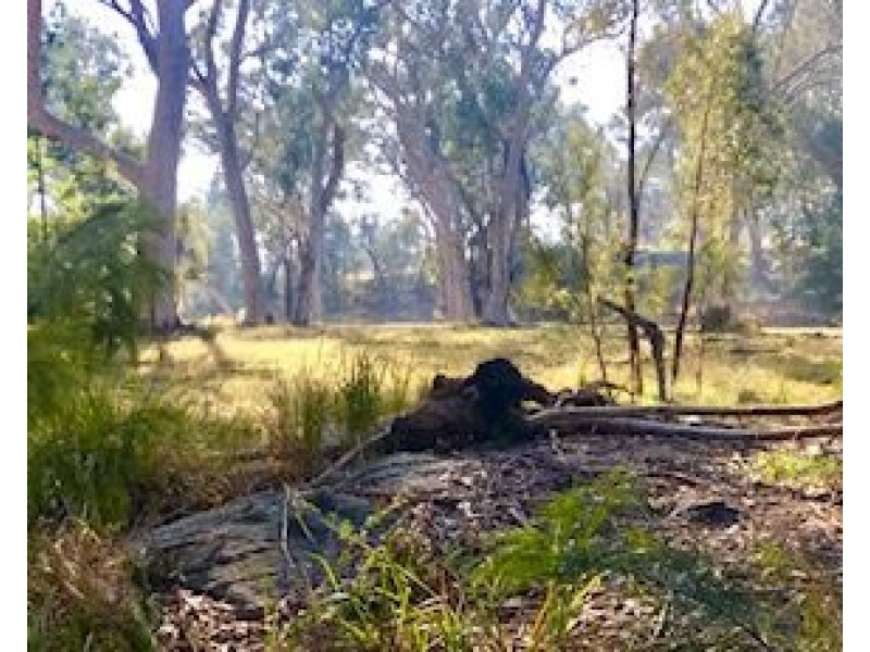 20 Stringer Road, Kellyville NSW 2155