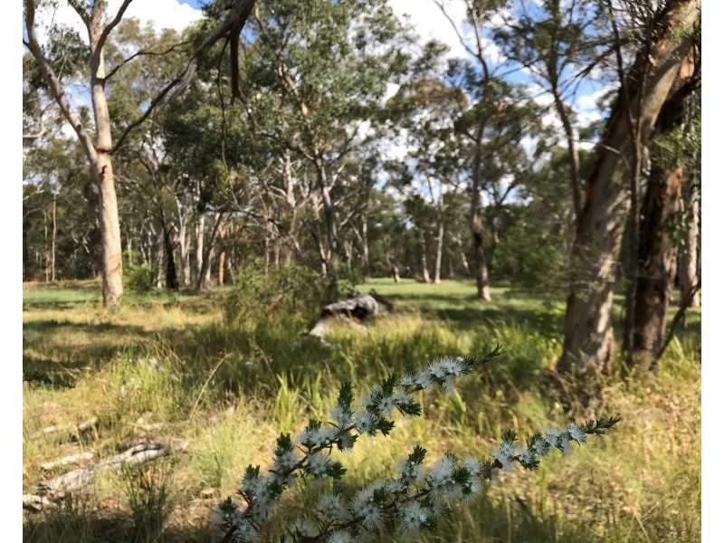 22 Stringer, Kellyville NSW 2155