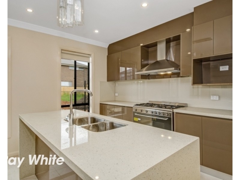 17 Springwood Avenue, The Ponds NSW 2769