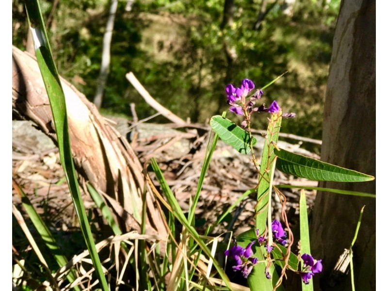 lot 32 20 Stringer Road, Kellyville NSW 2155