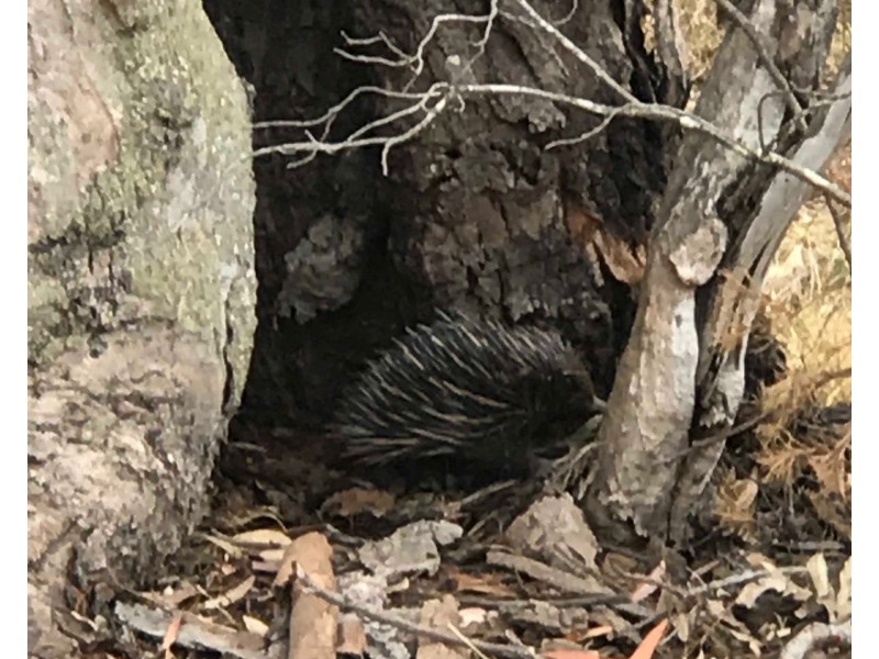 lot 32 20 Stringer Road, Kellyville NSW 2155