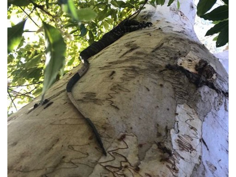 lot 32 20 Stringer Road, Kellyville NSW 2155