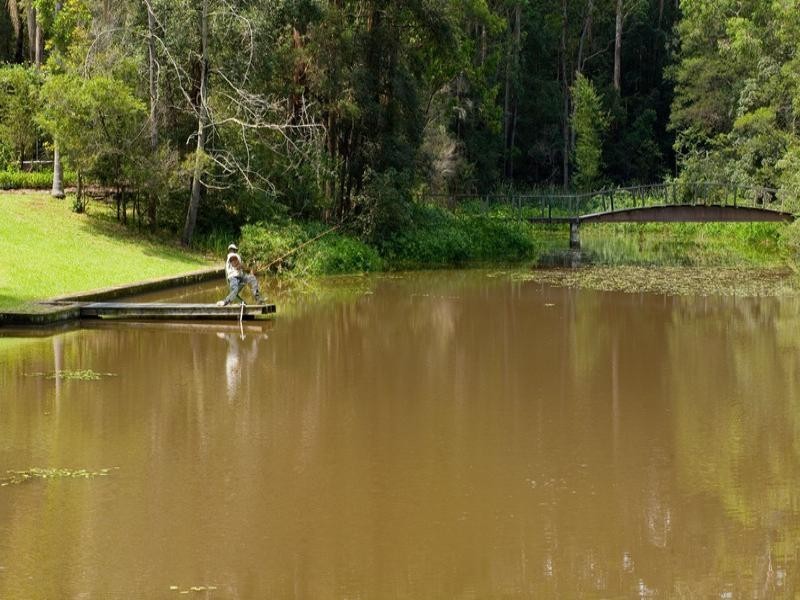 1029 Old Northern Road, Dural NSW 2158