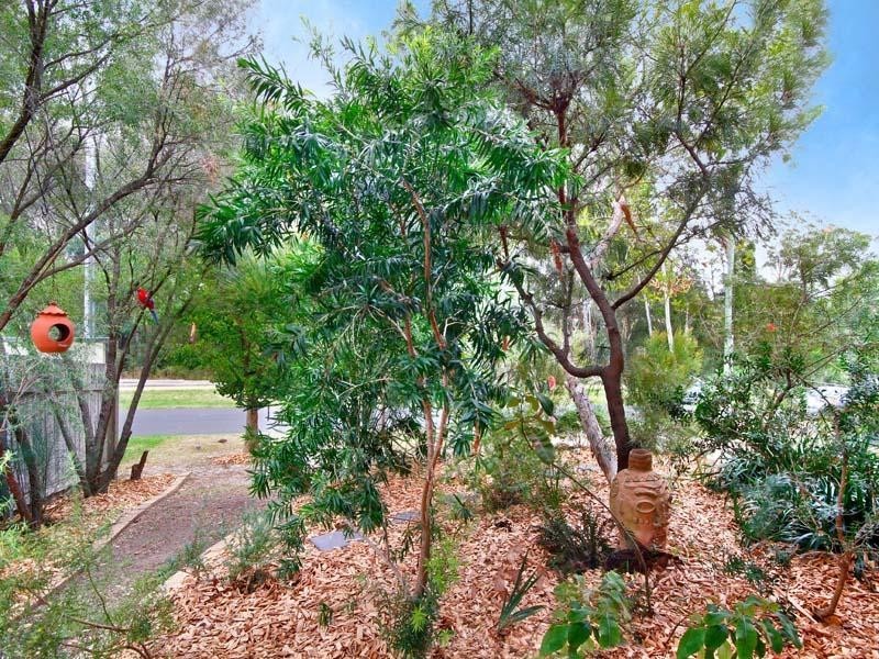 49 Marella Avenue, Kellyville NSW 2155