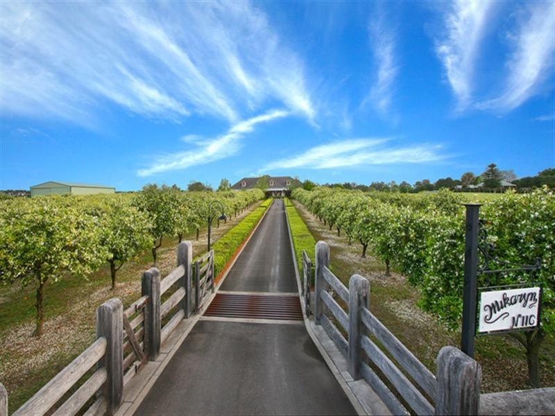 116 Hall Street, Pitt Town NSW 2756