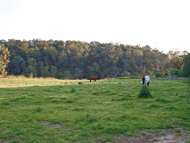 257 Mud Island Road, Sackville North NSW 2756